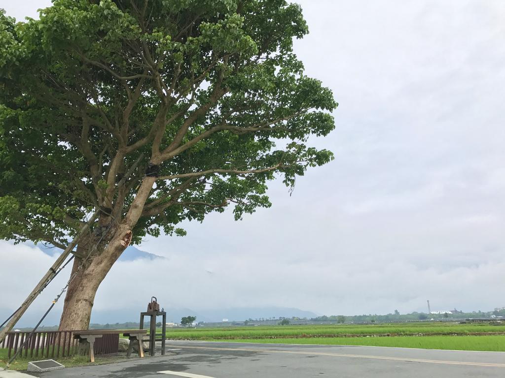 玉蟾園民宿 寵物友善 YuChanYuan B&B Chishang Bagian luar foto