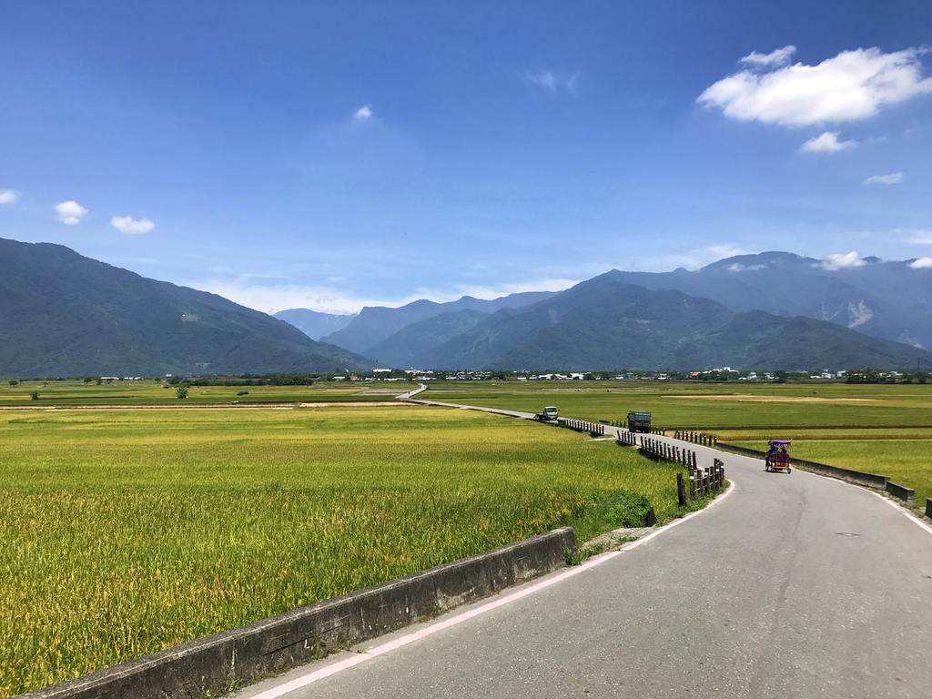 玉蟾園民宿 寵物友善 YuChanYuan B&B Chishang Bagian luar foto